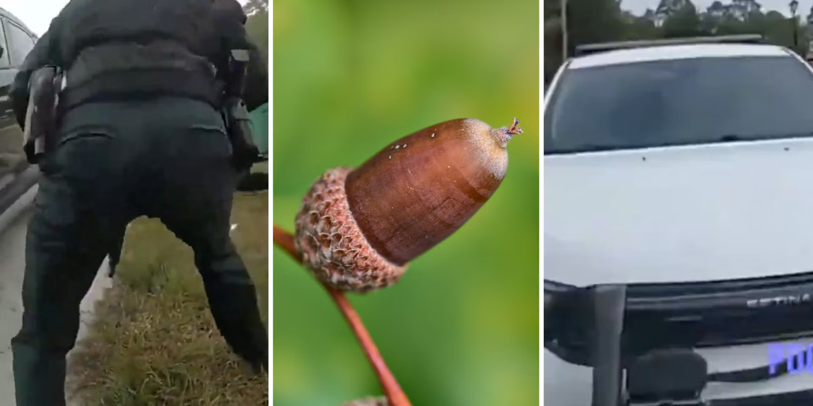Florida Deputy Opens Fire On His Own Car After Mistaking Acorn For Gunshots